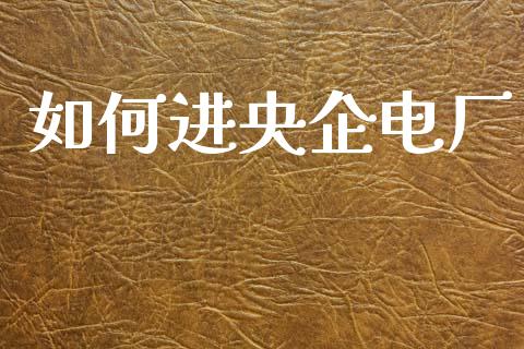 如何进央企电厂_https://qh.lansai.wang_期货喊单_第1张