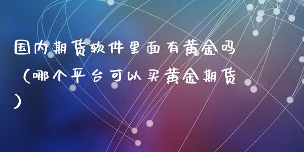 国内期货软件里面有黄金吗（哪个平台可以买黄金期货）_https://qh.lansai.wang_期货理财_第1张
