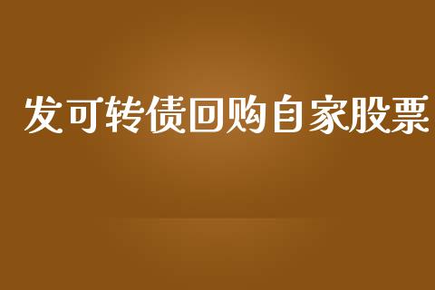 发可转债回购自家股票_https://qh.lansai.wang_期货理财_第1张