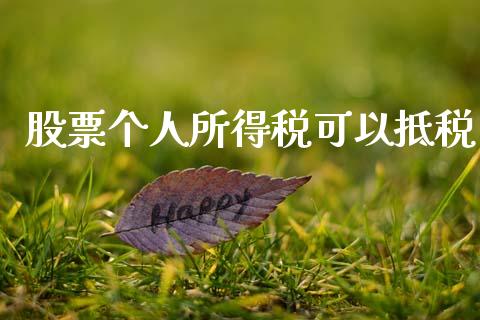 股票个人所得税可以抵税_https://qh.lansai.wang_期货怎么玩_第1张
