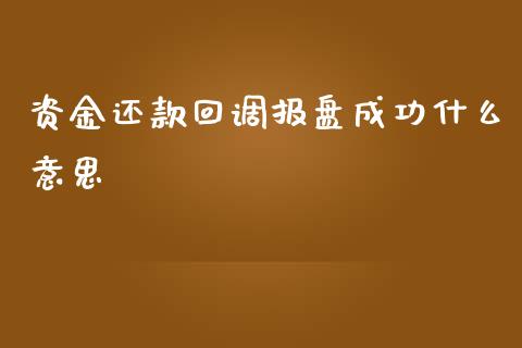 资金还款回调报盘成功什么意思_https://qh.lansai.wang_海康威视股票_第1张