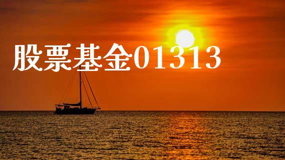 股票基金01313_https://qh.lansai.wang_期货理财_第1张