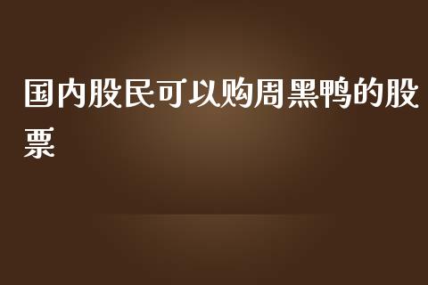 国内股民可以购周黑鸭的股票_https://qh.lansai.wang_期货理财_第1张
