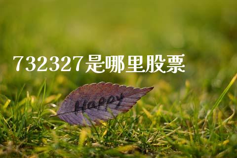 732327是哪里股票_https://qh.lansai.wang_新股数据_第1张