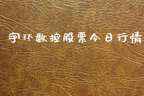 宇环数控股票今日行情_https://qh.lansai.wang_期货怎么玩_第1张