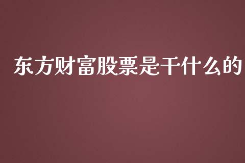 东方财富股票是干什么的_https://qh.lansai.wang_期货怎么玩_第1张