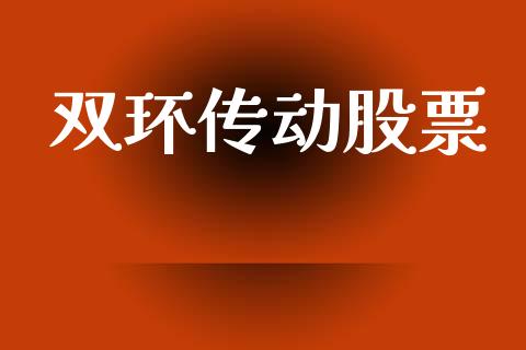 双环传动股票_https://qh.lansai.wang_期货理财_第1张