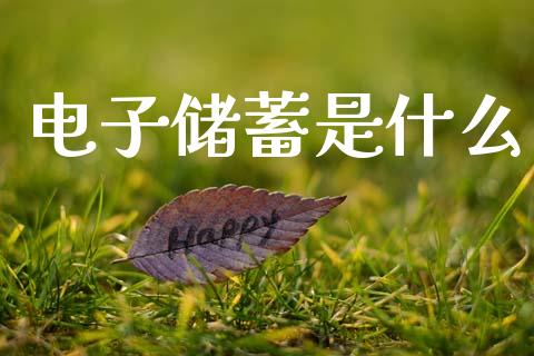 电子储蓄是什么_https://qh.lansai.wang_股票技术分析_第1张