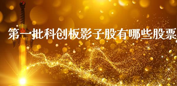 第一批科创板影子股有哪些股票_https://qh.lansai.wang_期货喊单_第1张