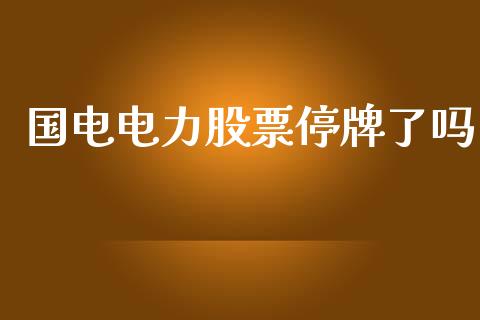 国电电力股票停牌了吗_https://qh.lansai.wang_期货喊单_第1张