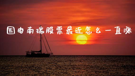 国电南瑞股票最近怎么一直涨_https://qh.lansai.wang_期货喊单_第1张