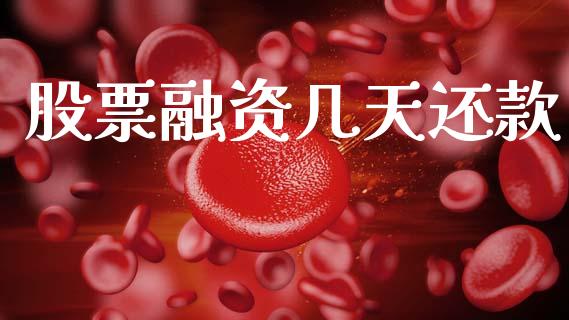 股票融资几天还款_https://qh.lansai.wang_期货怎么玩_第1张