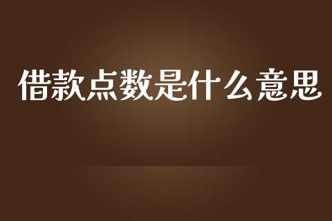 借款点数是什么意思_https://qh.lansai.wang_期货怎么玩_第1张