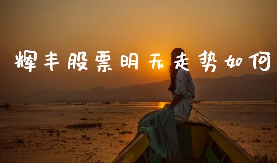 辉丰股票明天走势如何_https://qh.lansai.wang_新股数据_第1张