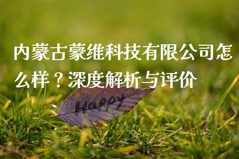 内蒙古蒙维科技有限公司怎么样？深度解析与评价_https://qh.lansai.wang_股票技术分析_第1张