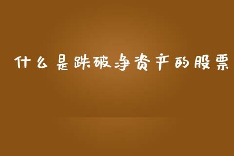什么是跌破净资产的股票_https://qh.lansai.wang_新股数据_第1张