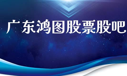 广东鸿图股票股吧_https://qh.lansai.wang_新股数据_第1张