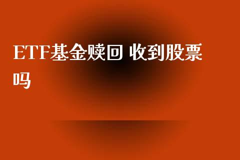 ETF基金赎回 收到股票吗_https://qh.lansai.wang_期货喊单_第1张