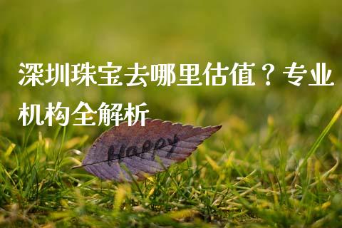 深圳珠宝去哪里估值？专业机构全解析_https://qh.lansai.wang_期货怎么玩_第1张