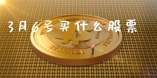 3月6号买什么股票_https://qh.lansai.wang_期货理财_第1张