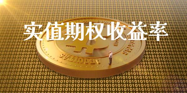 实值期权收益率_https://qh.lansai.wang_股票新闻_第1张