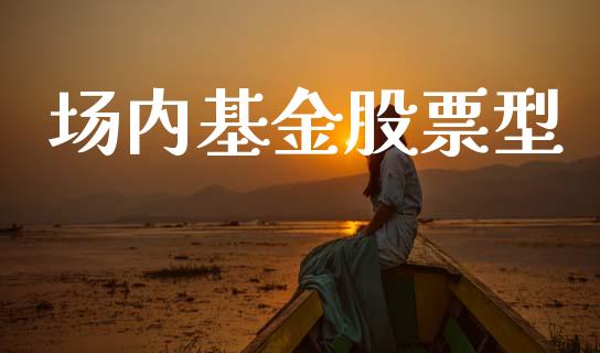 场内基金股票型_https://qh.lansai.wang_期货理财_第1张