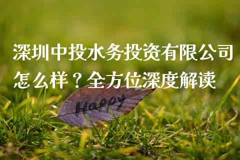 深圳中投水务投资有限公司怎么样？全方位深度解读_https://qh.lansai.wang_期货怎么玩_第1张