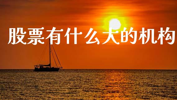 股票有什么大的机构_https://qh.lansai.wang_新股数据_第1张