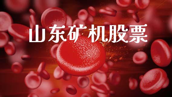 山东矿机股票_https://qh.lansai.wang_期货怎么玩_第1张