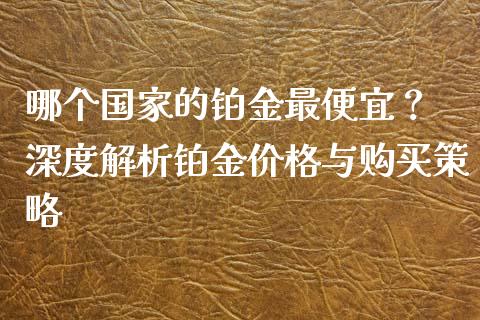 哪个国家的铂金最便宜？ 深度解析铂金价格与购买策略_https://qh.lansai.wang_期货怎么玩_第1张