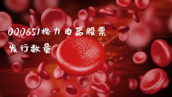 000651格力电器股票发行数量_https://qh.lansai.wang_期货喊单_第1张