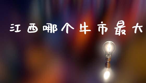 江西哪个牛市最大_https://qh.lansai.wang_新股数据_第1张