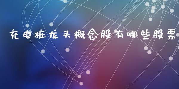 充电桩龙头概念股有哪些股票_https://qh.lansai.wang_期货怎么玩_第1张