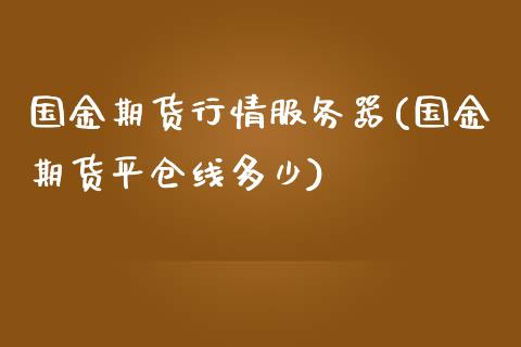 国金期货行情服务器(国金期货平仓线多少)_https://qh.lansai.wang_期货怎么玩_第1张