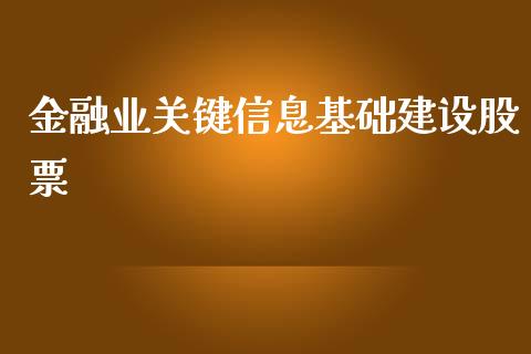 金融业关键信息基础建设股票_https://qh.lansai.wang_新股数据_第1张