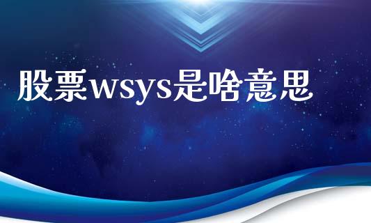 股票wsys是啥意思_https://qh.lansai.wang_期货怎么玩_第1张