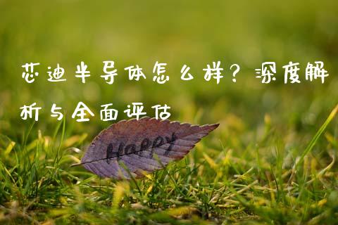 芯迪半导体怎么样？深度解析与全面评估_https://qh.lansai.wang_股票技术分析_第1张