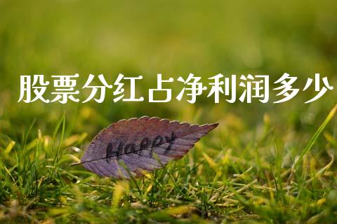 股票分红占净利润多少_https://qh.lansai.wang_期货理财_第1张