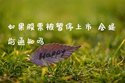 如果股票被暂停上市 会提前通知吗_https://qh.lansai.wang_新股数据_第1张