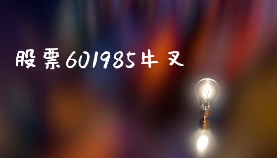 股票601985牛叉_https://qh.lansai.wang_期货理财_第1张