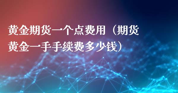 黄金期货一个点费用（期货黄金一手手续费多少钱）_https://qh.lansai.wang_期货理财_第1张