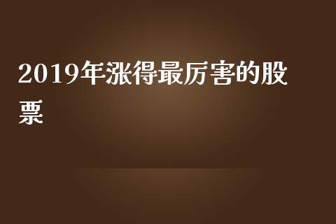 2019年涨得最厉害的股票_https://qh.lansai.wang_新股数据_第1张