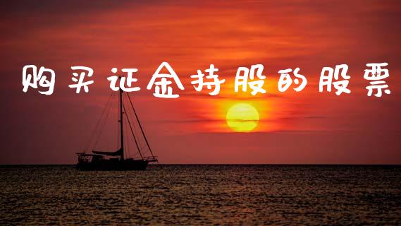 购买证金持股的股票_https://qh.lansai.wang_期货理财_第1张