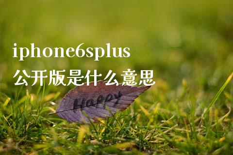 iphone6splus公开版是什么意思_https://qh.lansai.wang_新股数据_第1张