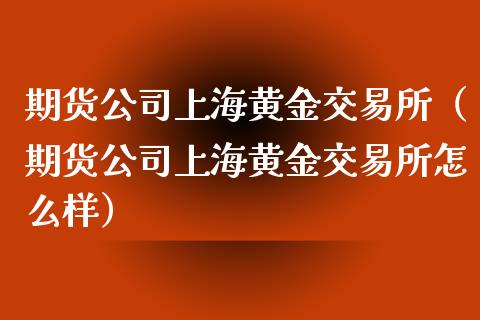 期货公司上海黄金交易所（期货公司上海黄金交易所怎么样）_https://qh.lansai.wang_期货怎么玩_第1张