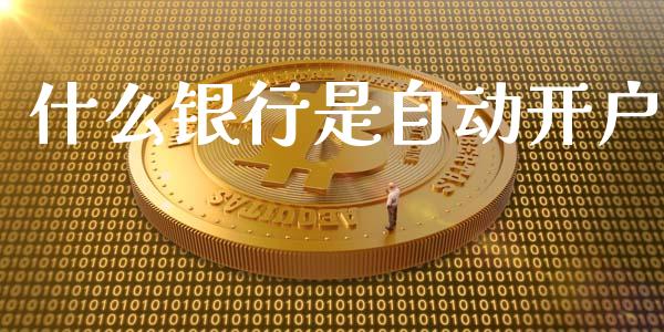 什么银行是自动开户_https://qh.lansai.wang_股票技术分析_第1张
