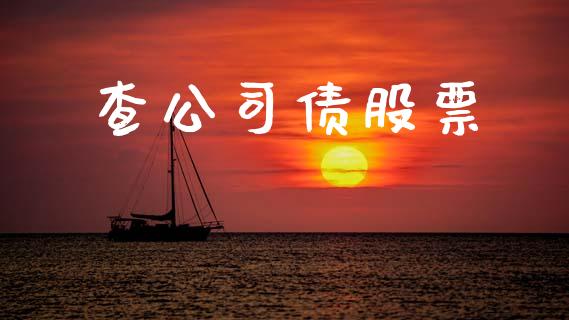 查公司债股票_https://qh.lansai.wang_期货喊单_第1张