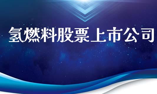 氢燃料股票上市公司_https://qh.lansai.wang_期货理财_第1张