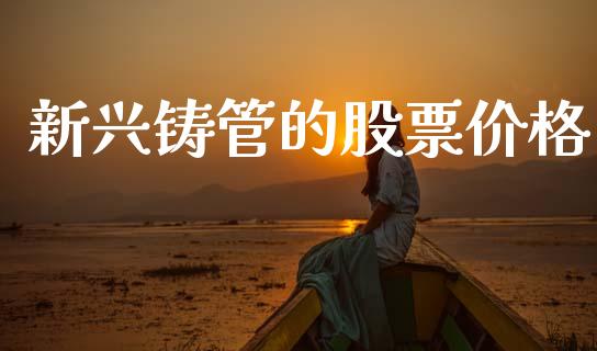 新兴铸管的股票价格_https://qh.lansai.wang_期货理财_第1张