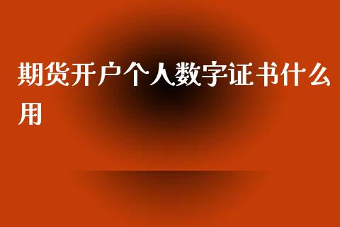 期货开户个人数字证书什么用_https://qh.lansai.wang_期货理财_第1张